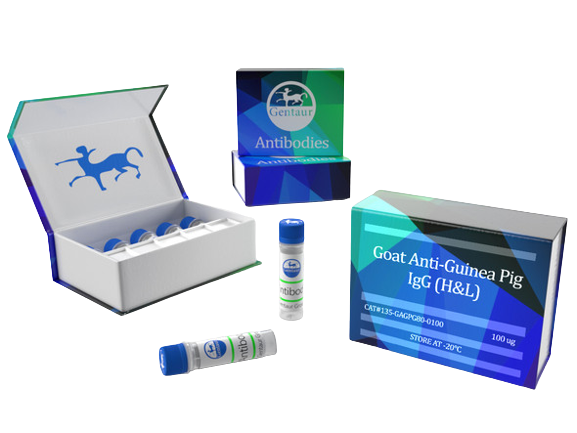 BCECF, AM *UltraPure grade*