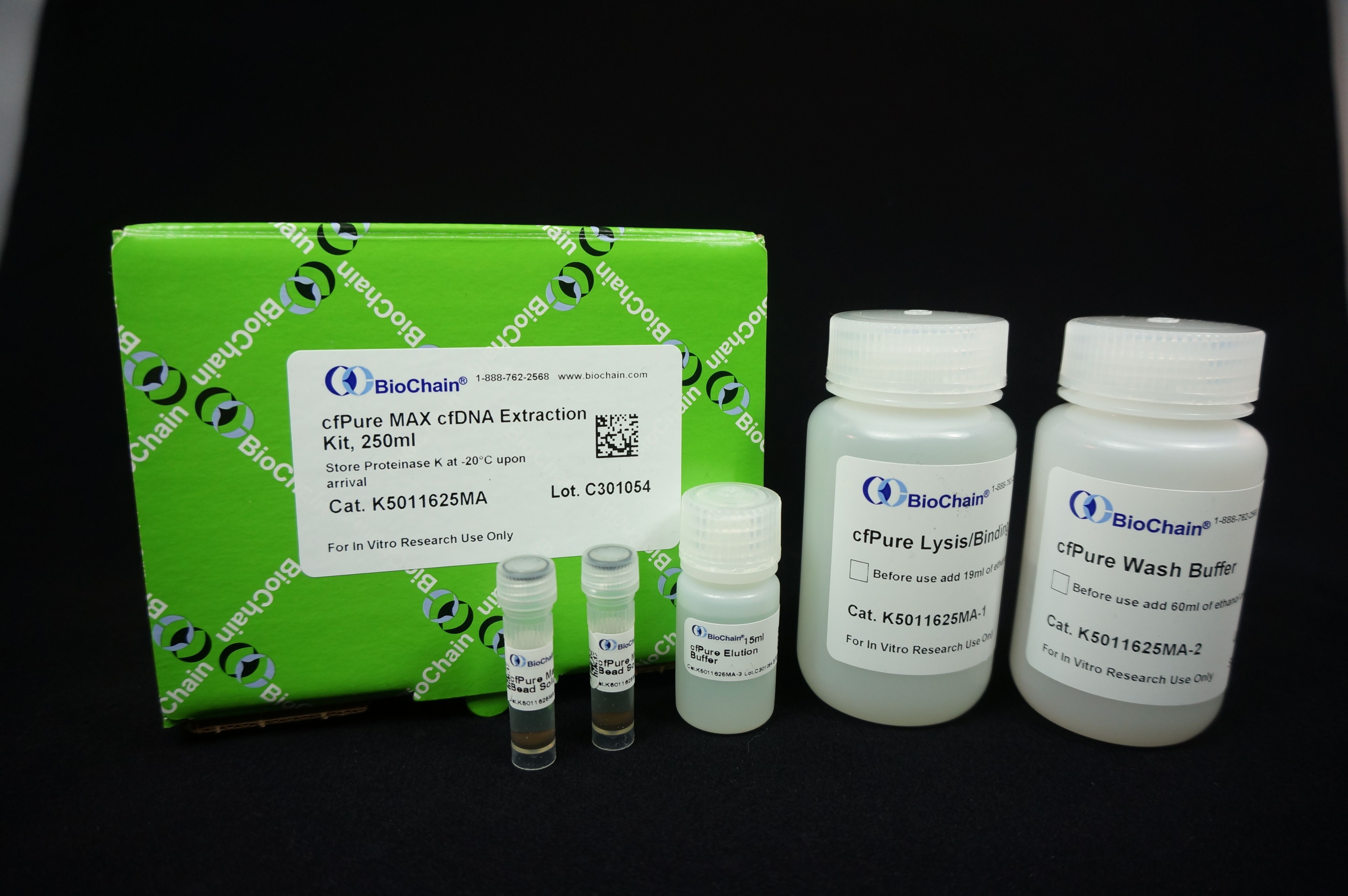 Paraffin-Tissue-Section---Human-Lung-Tumor:-Large-Cell-Carcinoma