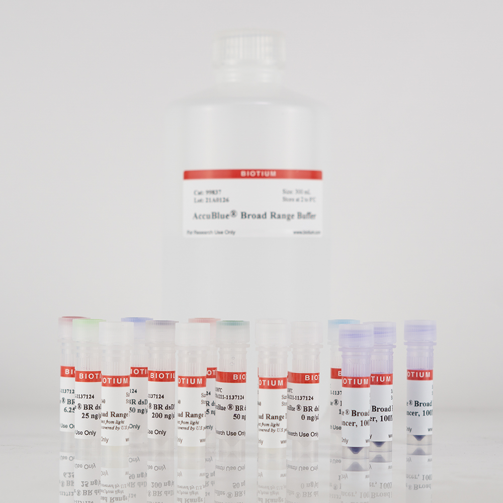 AccuBlue® Broad Range dsDNA Quantitation Solution