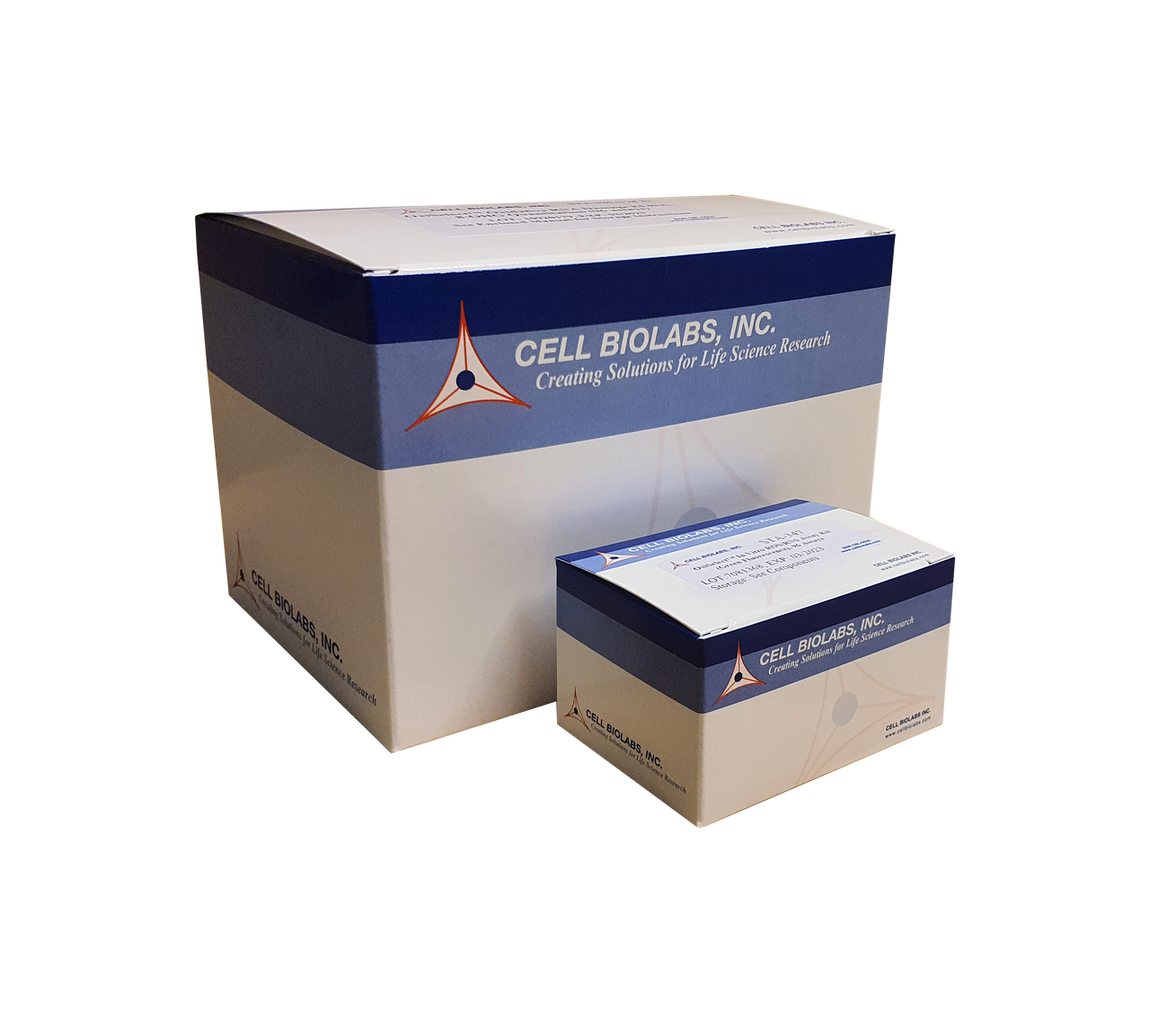 OxiSelect™ Comet Assay Kit (3-Well Slides)