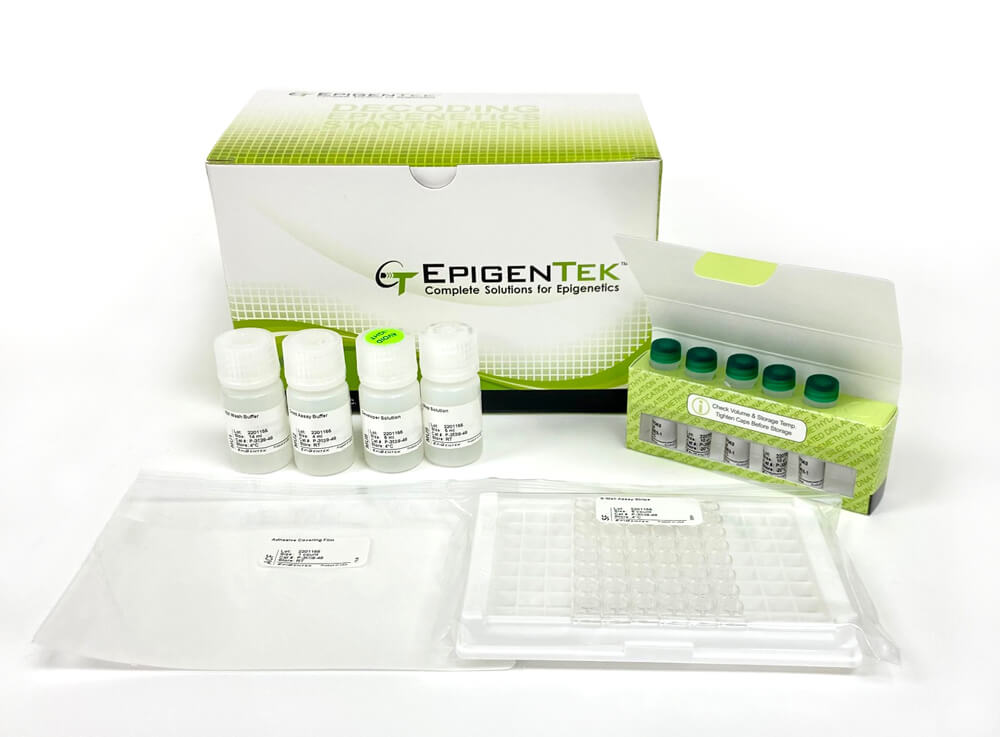EpiQuik DNMT Activity/Inhibition ELISA Easy Kit (Colorimetric)